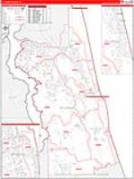 St. Johns, Fl Carrier Route Wall Map